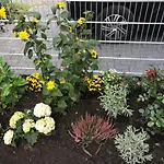 Feriendomizil Haus Willy Mit Wintergarten Und Wallbox *