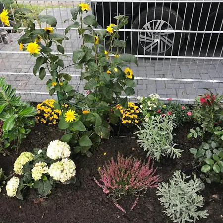 Feriendomizil Haus Willy Mit Wintergarten Und Wallbox *