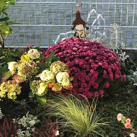 Feriendomizil Haus Willy Mit Wintergarten Und Wallbox Dornum