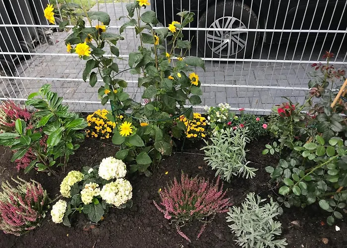 Feriendomizil Haus Willy Mit Wintergarten Und Wallbox *