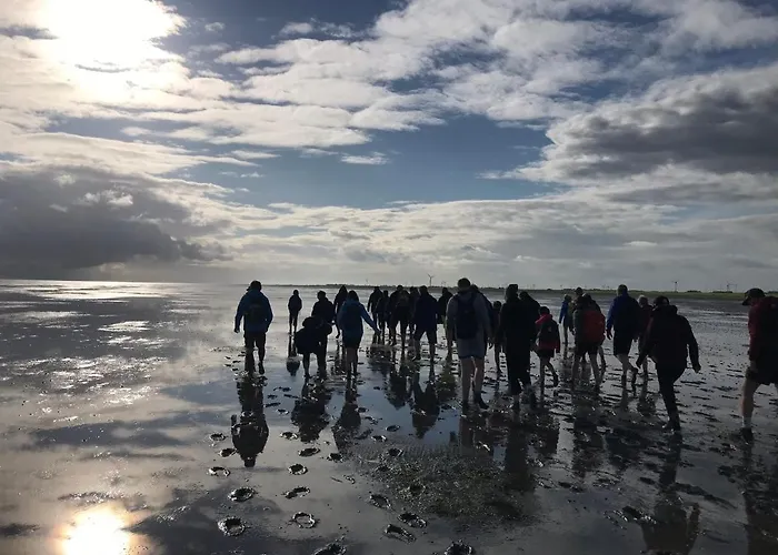 Feriendomizil Haus Willy Mit Wintergarten Und Wallbox