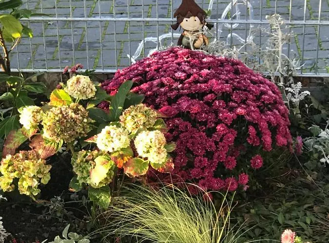 Feriendomizil Haus Willy Mit Wintergarten Und Wallbox Dornum